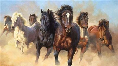 Listening to the Horse with Warwick Schiller