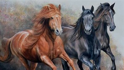 Heat Risk: Managing Horse Health in Summer Months