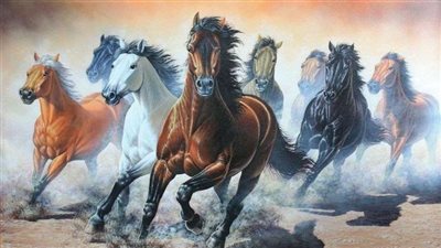 Making the Most of Summer with Horses