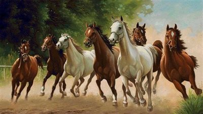 Tips for Treating an Equine Eye Ulcer