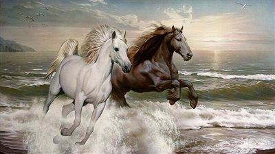 A Fascinating Journey: Exploring the World of Horses  ‎