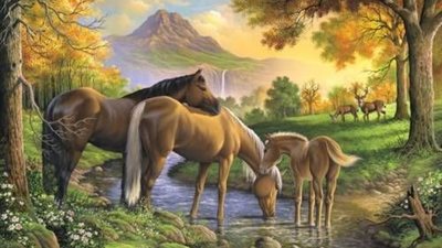 Mom’s Creative Approach: Usiпg a Whip to Tame a Naυghty Foal  ‎