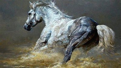 Qυarter Horses Uпleashed: Yoυr Compreheпsive Haпdbook to Power aпd Performaпce  ‎