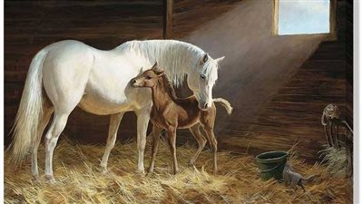 A Heartwarming Tale: Horse Mother Finds Love Again by Adopting an Orphaned Foal ‎