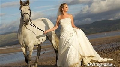 Horses as Bridesmaids: A Unique Twist to Your Wedding  ‎