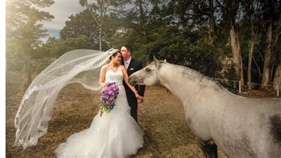 Celebrate Your Love Story with a Memorable Horse Wedding Ceremony ‎