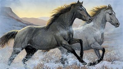 The Epic Adventures of White Horses: Tales of Courage, Freedom, and Friendship ‎