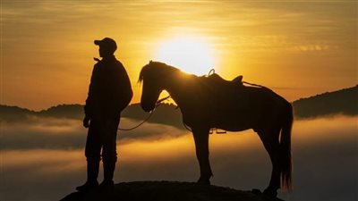 Horse at funeral says final goodbye to owner who wouldn’t give up on him