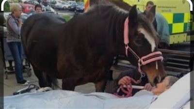 The horse bent down tenderly and touched her on the cheek as they said their last goodbyes