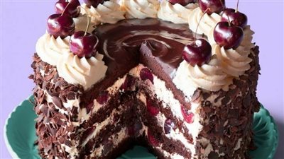 Dos  leches sponge cake with two chocolates