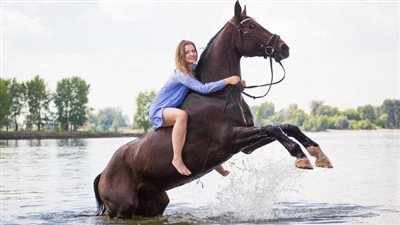 Conquering Fear: A Woman’s Journey in Learning to Ride a Horse ‎
