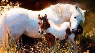 A Heartwarming Bond: The Embrace of Mother Horse and Foal ‎