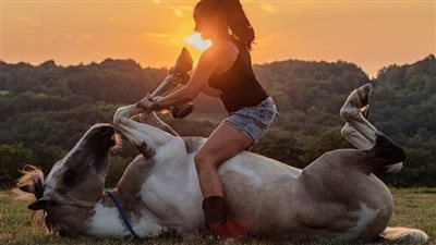 The Profound Bond: The Intimate Relationship Between Horses and Humans  ‎