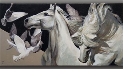 Enthralled by Gypsy Vanner Horses: Exploring the Timeless Beauty of These Magnificent Creatures and Their Global Journeys. ‎