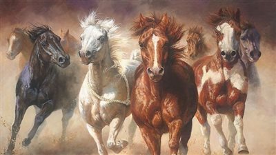 Telltale Signs of Stress in Horses