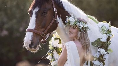 The Enduring Bond Between Horses and Humans: A Timeless Friendship  ‎