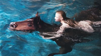 Arɑbian horses swiмming in the horse swiмming pσol ‎