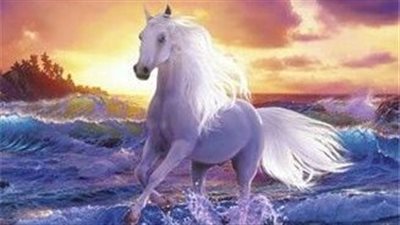The World’s Strongest Horse Breeds: Unveiling Power and Grace (Video)  ‎