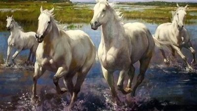 The Enigmatic World of Wild Horses: A Fascinating Insight into Nature’s Free Spirits  ‎