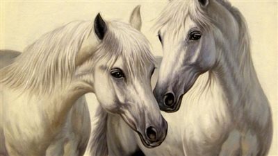 Horse Brothers Show An Emotional Reunion After Being Apart For Years  ‎