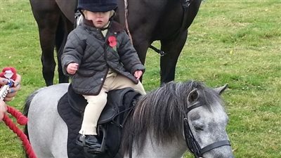 Little Boy Takes Care Of Belgian Draft Foal While Mare Looks After Them ‎