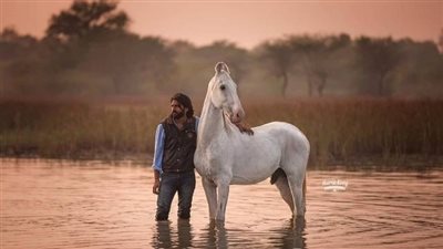 The Unbreakable Bond: Man and Horse Friendship  ‎