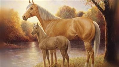 The Bond Between an Appaloosa Mare and Her Foal: A Tale of Beauty and Nurturing Love  ‎