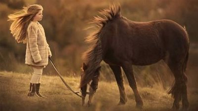 A Comprehensive Guide to Morning Horse Care: Essential Practices for Equine Health ‎