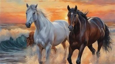 Case Story: Tendon injury in a horse